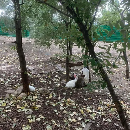 アパートホテル Luxury Orchid With A Garden In A Private Complex Cascadas Bulgaria 3*