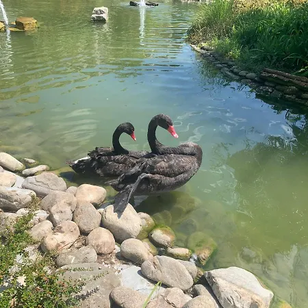 Luxury Orchid With A Garden In A Private Complex Cascadas Bulgaria