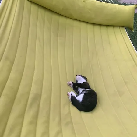 Luxury Orchid With A Garden In A Private Complex Cascadas Bulgaria Appart hôtel