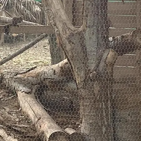 Апарт-отель Luxury Orchid With A Garden In A Private Complex Cascadas Bulgaria Солнечный берег