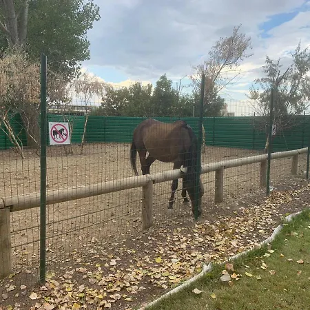 Aparthotel Luxury Orchid With A Garden In A Private Complex Cascadas Bulgaria 3*